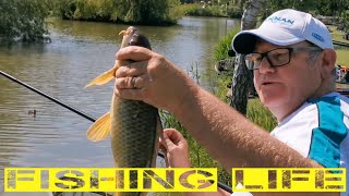 POLE FISHING at Lindholme Lakes [upl. by Aerdno]