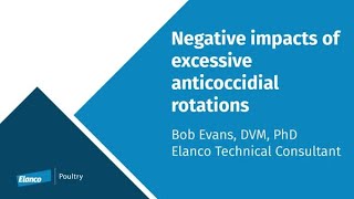 Control Coccidiosis in Chickens With Planned Rotations [upl. by Abner]