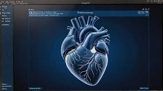 Fetal Echocardiography The Nine Diagnostic Planes of The Fetal Heart [upl. by Esinereb]