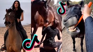 The Best HORSE TikTok Compilation 228 [upl. by Jaal]