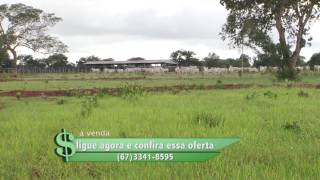 Fazenda à venda em Campo Grande MS com 570 hectares [upl. by Wobniar]