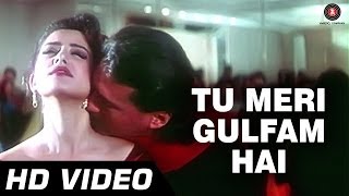 Tu Meri Gulfam Hai  Agni Sakshi 1996  Manisha Koirala Jackie Shroff [upl. by Asiilanna693]