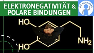 Elektronegativität amp polare Bindungen  Definition Elektronegativitätsdifferenz amp Beispiele erklärt [upl. by Eilyac]