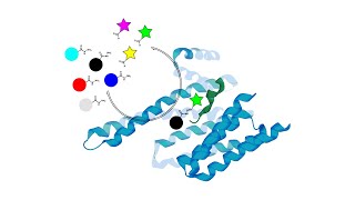 webinar recording new applications of dynamic combinatorial chemistry to medicinal chemistry [upl. by Malissa342]