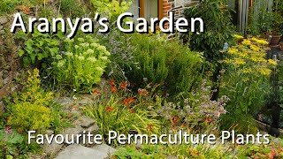 Aranyas Garden Favourite Permaculture Plants [upl. by Barabas959]