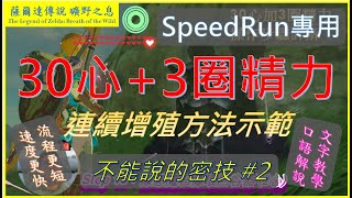 『薩爾達傳說曠野之息』 不能說的密技2  第二種快速增殖到30心與3圈精力流程連續示範How to get Max Heart and Stamina at the same time [upl. by Louisa822]