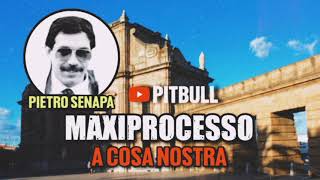 Pietro Senapa Maxiprocesso a Cosa Nostra 1986 [upl. by Alleuqcaj]