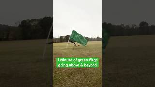 1 minute of wholesome green flags [upl. by Atilegna]