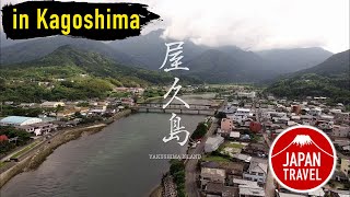 Japan Travel Kagoshima Yakushima Island [upl. by Ohaus]