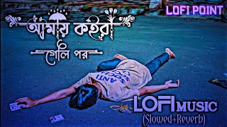 আমায় কইরা গেলি পর  Amay Koira Geli Por  Slowed Music  Slowed Reverb Lofi Music  Lofi Point [upl. by Hterrag934]