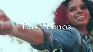 Los Felinos – Lápiz Labial Video Oficial [upl. by Inaj]