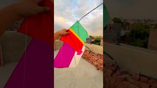 Kiteflying 🪁looter Aaj tho 3 patang loot li I’m kitelover 😍patangkites catch shorts [upl. by Dukie689]