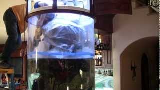 Polishing The Cylinder Tank LA Fishguys Episode 110 pt 2 [upl. by Anaile]