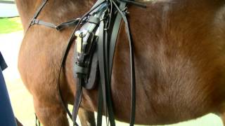 Tack to Track presented by Jacks  How to hang trotting hobbles [upl. by Eniluj]