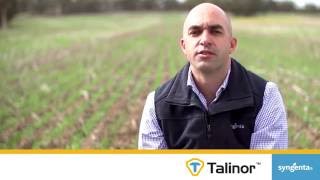 Talinor  a new postemergent broadleaf herbicide amp resistance management tool [upl. by Anaya]