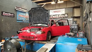 B20 vtec killer h22 vtec killer  h2b dyno day at cft [upl. by Keisling]