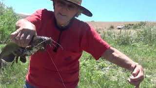 Fishing the Owyhee River [upl. by Diogenes]