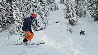 Vail Northwoods And Sourdough Ski Colorado 1282023 [upl. by Mirielle]