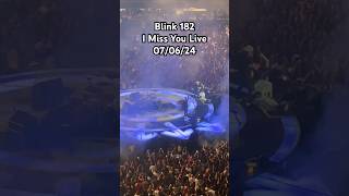 Blink 182 I Miss You Live [upl. by Yerfoeg563]