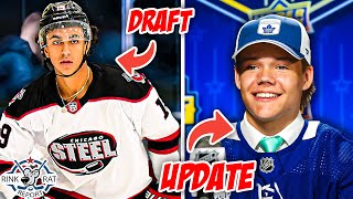 2024 NHL Draft Preview  Leafs Prospect Update w Will Scouch [upl. by Jb377]