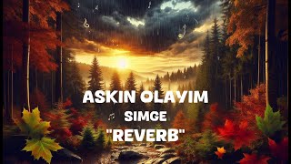 Simge  Askin Olayim Reverb Lyrics [upl. by Jeddy]