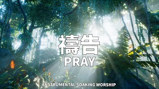 禱告 PRAY  等候神音樂  Soaking Music  靈修音樂  Instrumental Music  Worship  輕音樂 [upl. by Manus]