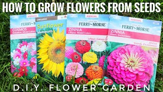 Plant with Me  How To Grow Flowers From Seeds  DIY Flower Garden [upl. by Nolubez]