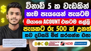 online job sinhala  online job at home sinhala  Emoney sinhala  binance Scroll airdrop launchpool [upl. by Peggy]