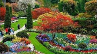 THE BUTCHART GARDEN in Victoria BC  Amazing variety of Tulips  Spring 2023 [upl. by Armmat]