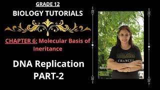 DNA Replication I Part2 I Molecular Basis of Inheritance I Chapter 6 I Class 12 [upl. by Vihs]