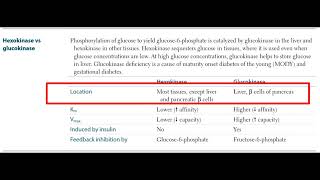 Hexokinase vs Glucokinase 6 [upl. by Senskell]