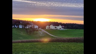 🚶🇦🇹Dahoam Urschendorfer Runde 231124 [upl. by Caswell]