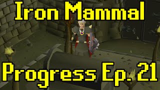 Oldschool Runescape  2007 Iron Man Progress Ep 21  Iron Mammal [upl. by Atneuqal]