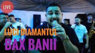 Luci Diamantul💰Bax Banii 🔴Live 2024LuciDiamantul [upl. by Cale]