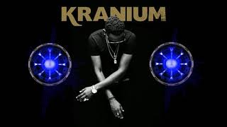 Kranium  Sidung Official Music Video [upl. by Esertal]