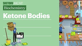 Ketone Bodies Biochemistry  Sketchy MCAT [upl. by Vick]