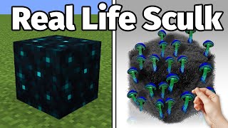 Collecting EVERY Block in Minecraft in REAL LIFE [upl. by Sadnalor]