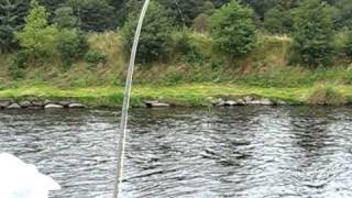 Autumn Fishing on the River Deveron [upl. by Milak884]