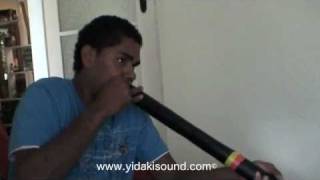 amazing didgeridoo solo by Gapanbulu Yunupingu Yothu Yindi uBKF [upl. by Glynnis]