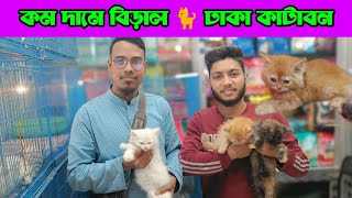 Cat price in Bangladesh 2024 Katabon Animal market in Bangladesh [upl. by Esinrahs604]