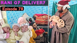 Rani Gy Delivery  PART 78  Kashmiri Drama [upl. by Ashli]