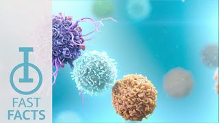 The synergy of LAG3 and other immune checkpoint pathways in cancer [upl. by Nho]