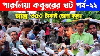 মাত্র ৩৫০ টাকায় জোড়া কবুতর গ্রামের হাট থেকে  kobutor hat 2024  pigeon market in bangladesh [upl. by Katharyn486]