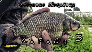 КарасьВесенние Поклевки Карася 3 Fishing angling The bite crucian carp spring 🎣 [upl. by Enidaj]