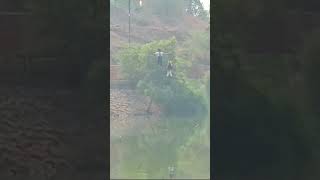 Zipline experience of pepple at Safari Park December2023 Everyone should experience it [upl. by Obeng]