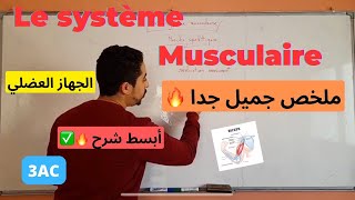 3AC  Super résumé  Le système musculaire 🔥⚡منهجية الإجابة عن أسئلة الإمتحان [upl. by Naujed]