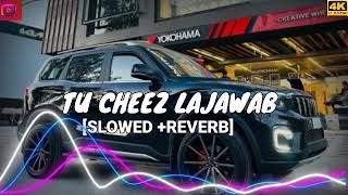 TU CHEEZ 👌LAJAWAB🎶SLOWED REVERB panjavi [upl. by Mccurdy]