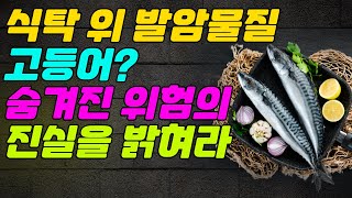 식탁 위 발암물질 고등어 숨겨진 위험의 진실을 밝혀라 [upl. by Meli]