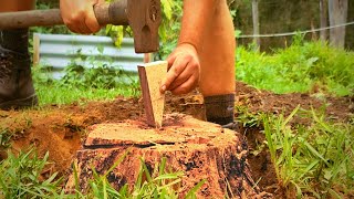 How to Remove a Tree Stump with a Wedge [upl. by Cathy]