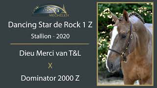 Dancing Star de Rock 1 Z [upl. by Hennebery]